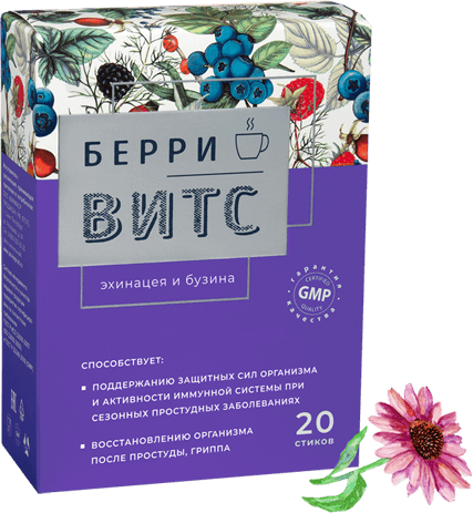 БерриВИТС Эхинацея и Бузина